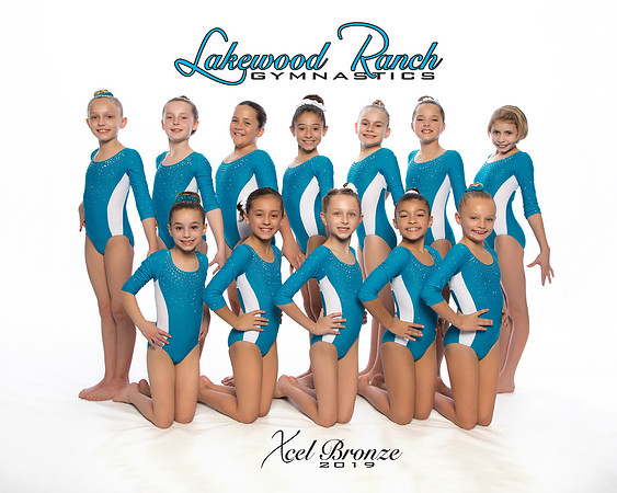 Xcel Bronze