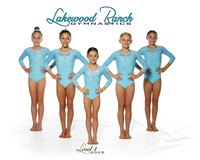 2025 Level 4
