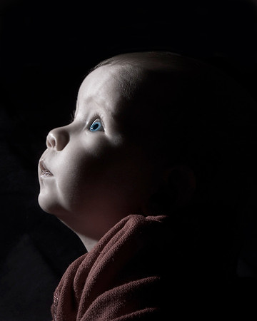 Baby Portraits