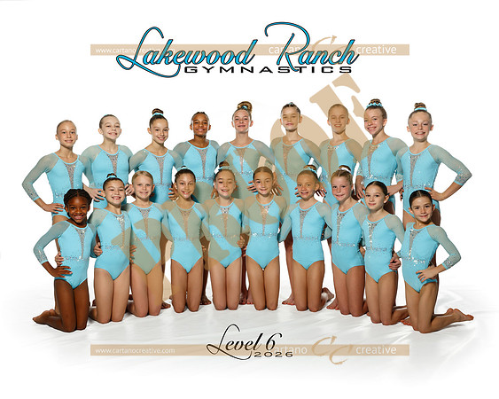 Level 6-2