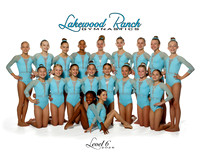 Level 6