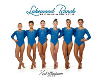 Xcel Platinum