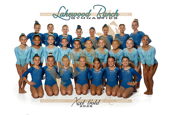 Xcel Gold-2
