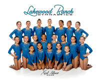 Xcel Silver