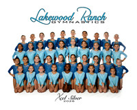 Xcel Silver-2