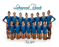 Xcel Gold