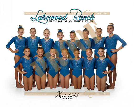 Xcel Gold