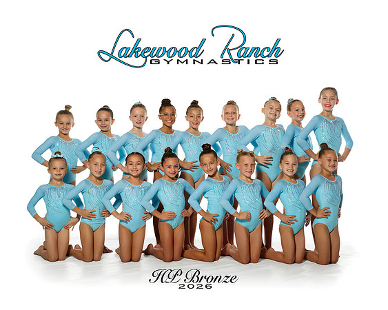 HP Bronze