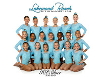 HP Silver