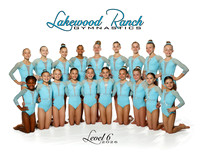 Level 6-2