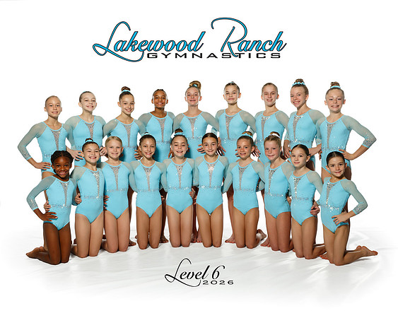 Level 6-2