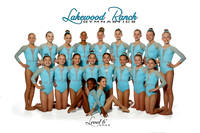 Level 6