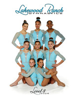 Level 8