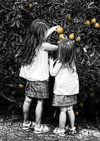 Outdoor Children Portraits