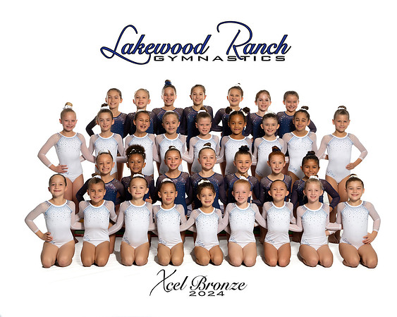 Xcel & Hp Bronze