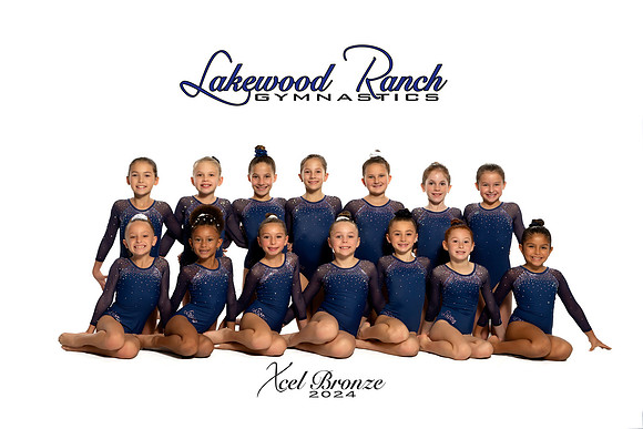 Xcel Bronze