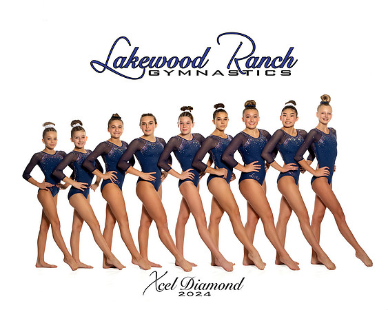 Xcel Diamond