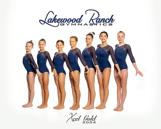 Xcel Gold
