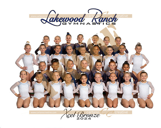 Xcel & Hp Bronze