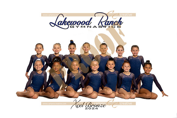 Xcel Bronze