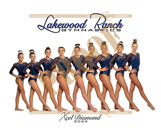 Xcel Diamond
