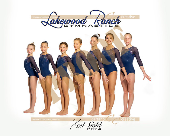 Xcel Gold