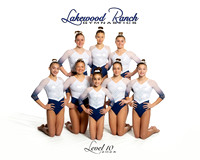 Level 10-2