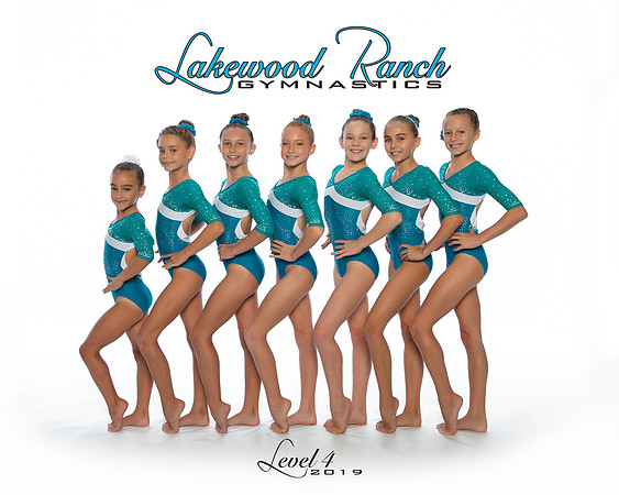 Level 4