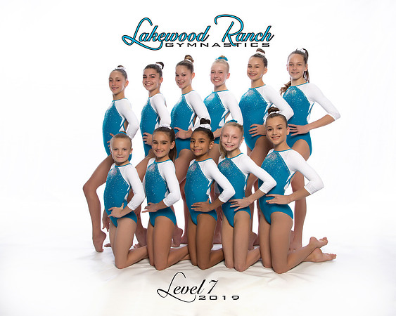 Level 7