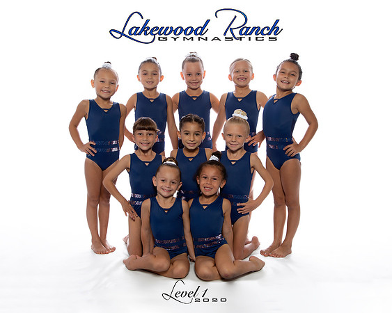 level 1 team logo