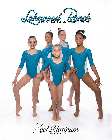 Xcel Platinum-2