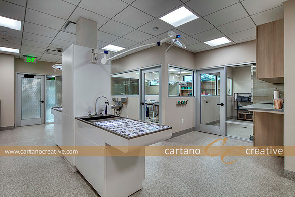 SHS-1