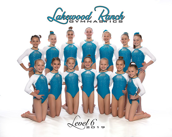 Level 6