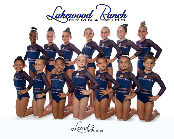 Level 2 team logo